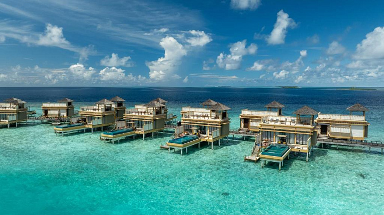 Картинка - 3