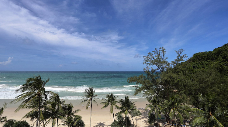 Картинка - 3