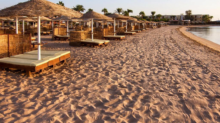 Картинка - 4