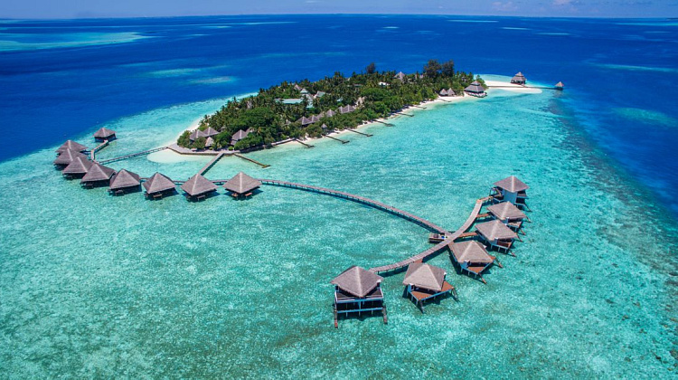 Картинка - 1