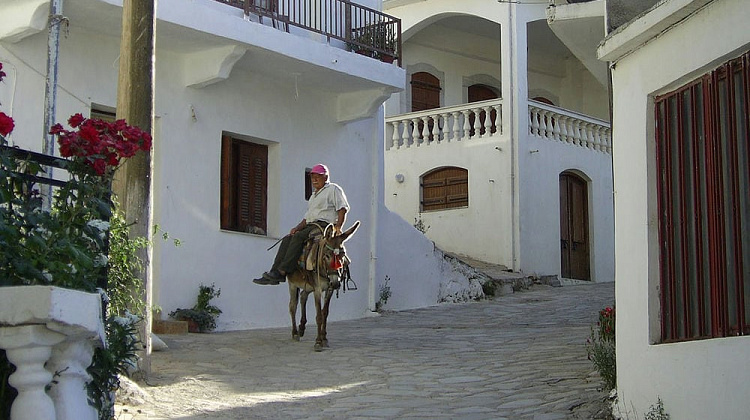 Картинка - 3