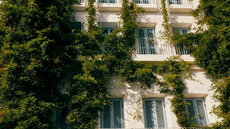 Картинка - 1