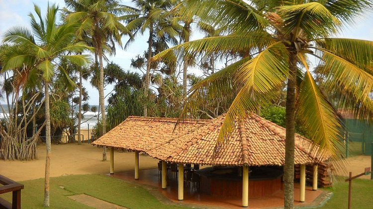 Картинка - 1