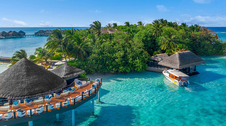 Картинка - 1