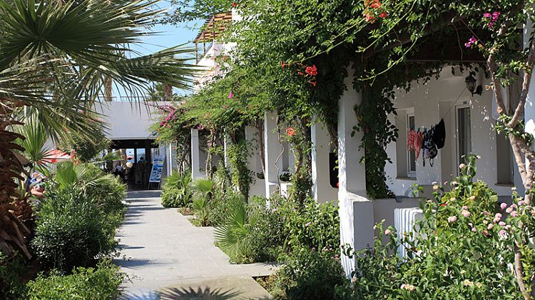 Картинка - 5