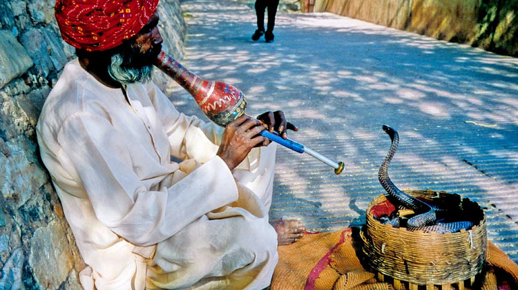 Картинка - 6