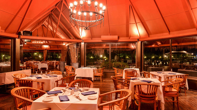 Картинка - 5