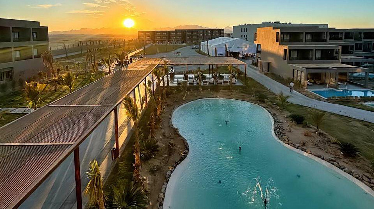 Картинка - 1