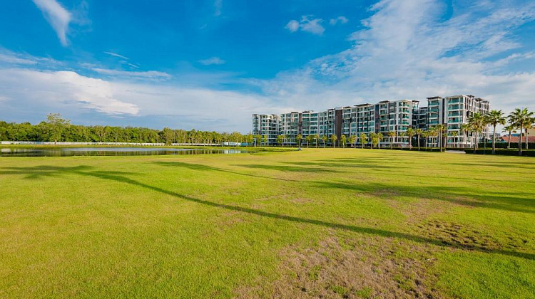 Картинка - 7