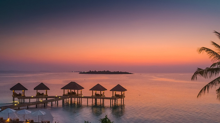 Картинка - 3