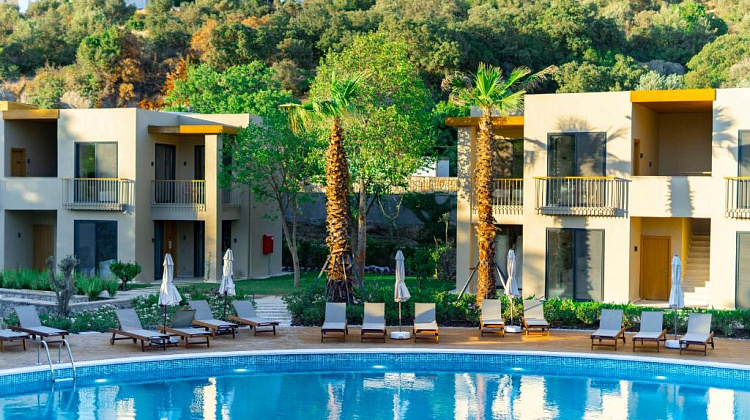 Картинка - 4