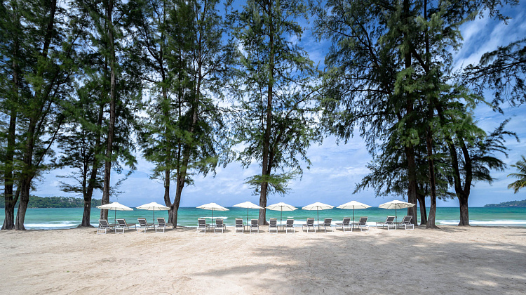 Картинка - 9