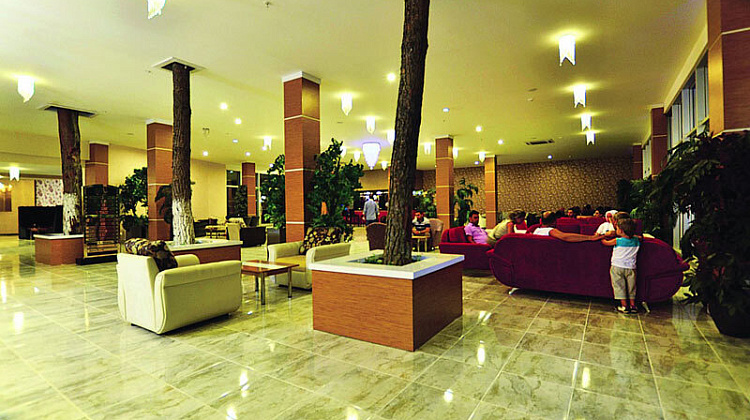 Картинка - 3