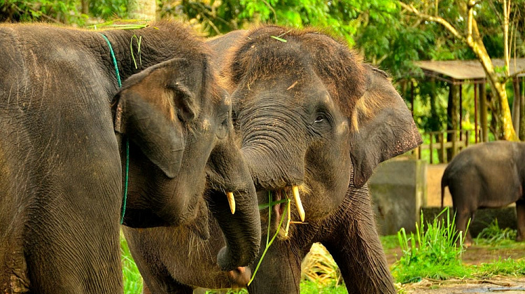 Картинка - 6