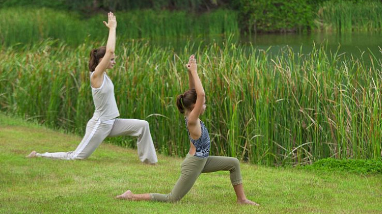 Картинка - 11