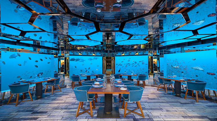 Картинка - 5