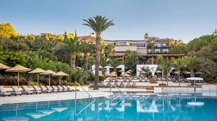 Картинка - 1