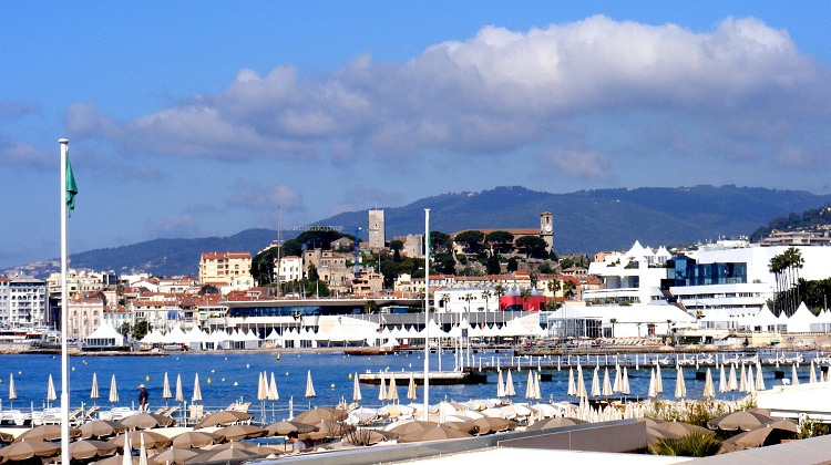 Картинка - 1