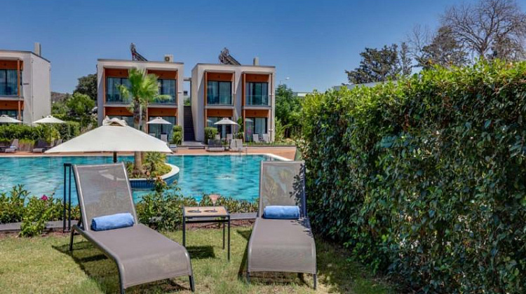 Картинка - 3