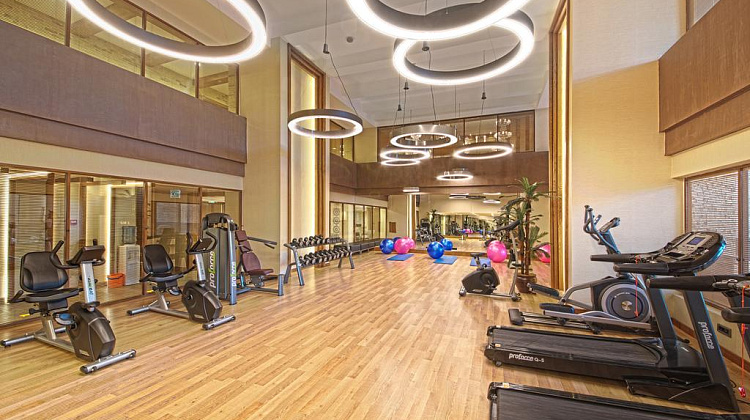 Картинка - 5