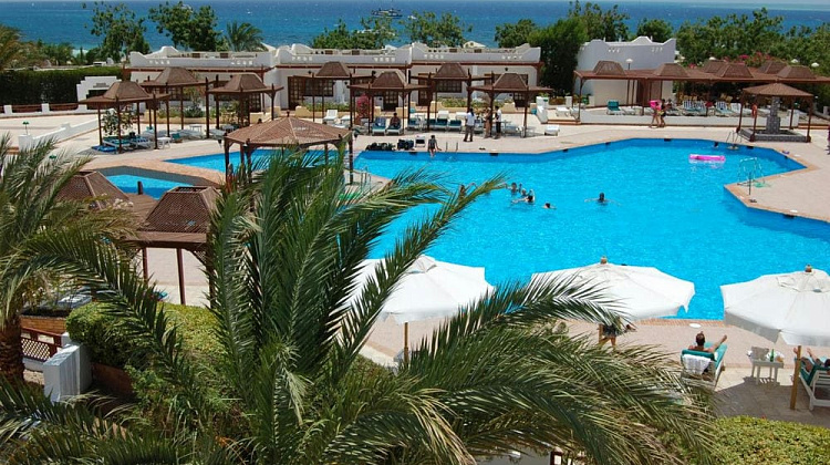 Картинка - 1