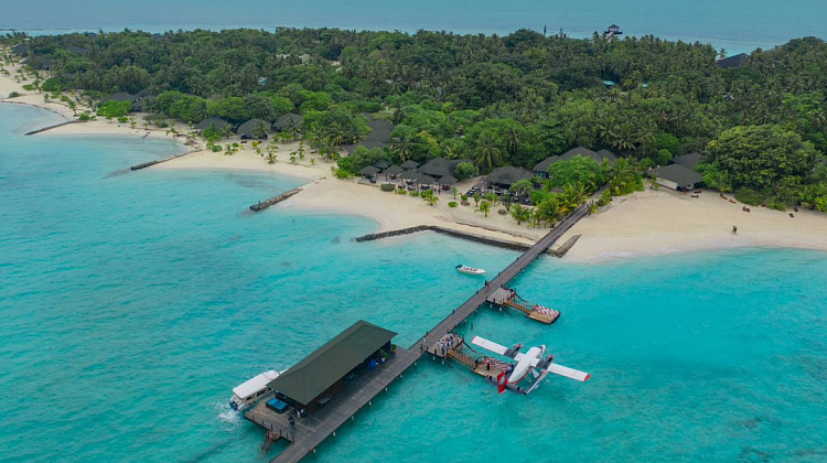 Картинка - 2