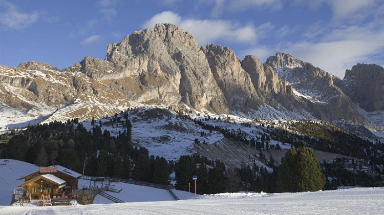 Картинка - 1