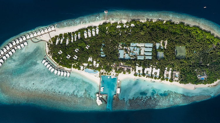 Картинка - 1