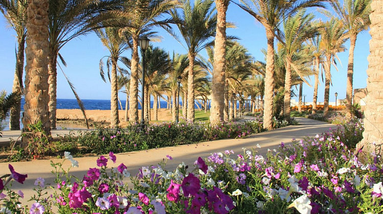 Картинка - 13