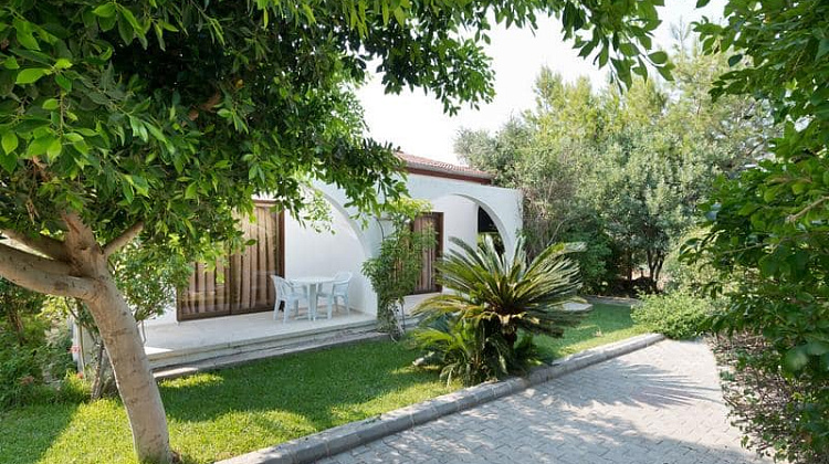 Картинка - 9