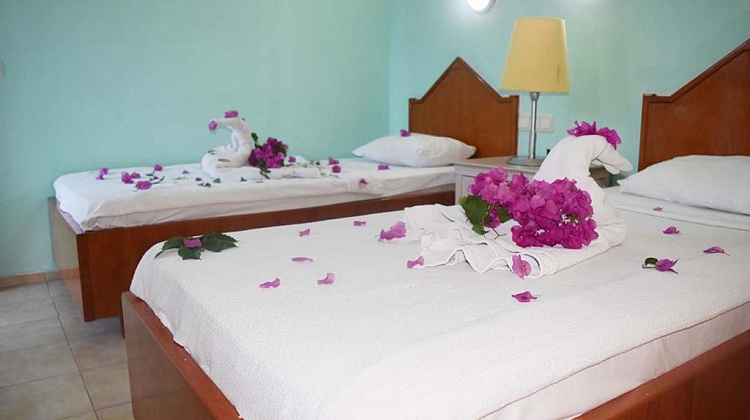 Картинка - 3