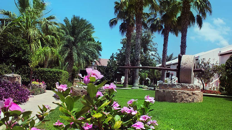 Картинка - 2