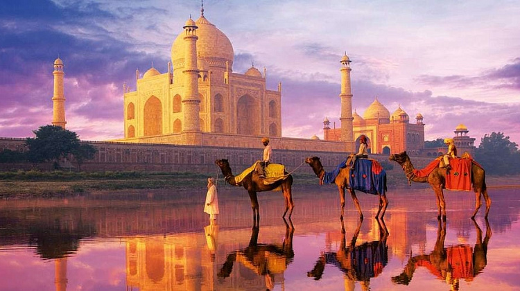 Картинка - 3