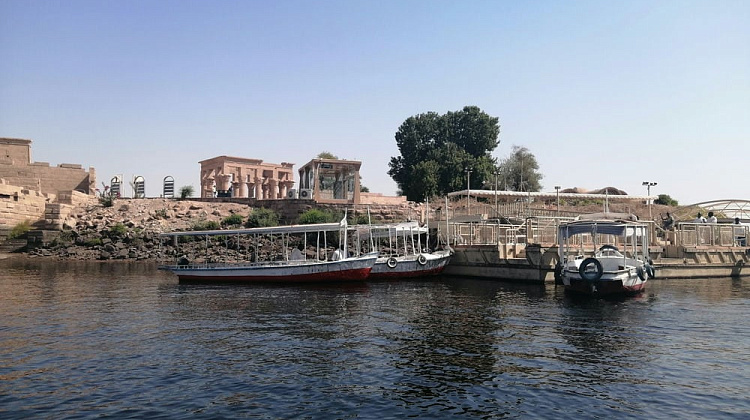 Картинка - 11